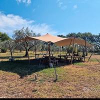 Tendone Stretch tent Tenturage