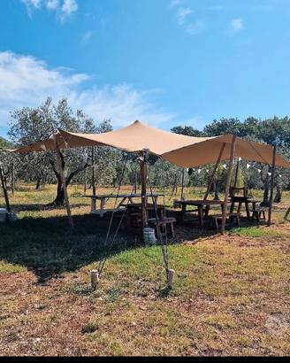 Tendone Stretch tent Tenturage