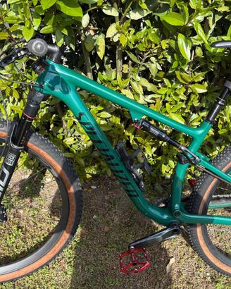 Specialized epic expert