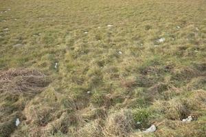 Terreno di 4560 m² a Capannori
