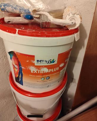 relius extra plus