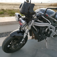 Triumph Speed Triple t509