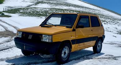 Panda 4x4 van. benzina/metano