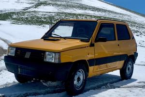 Panda 4x4 van. benzina/metano