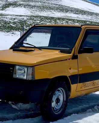 Panda 4x4 van. benzina/metano