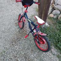 Bicicletta