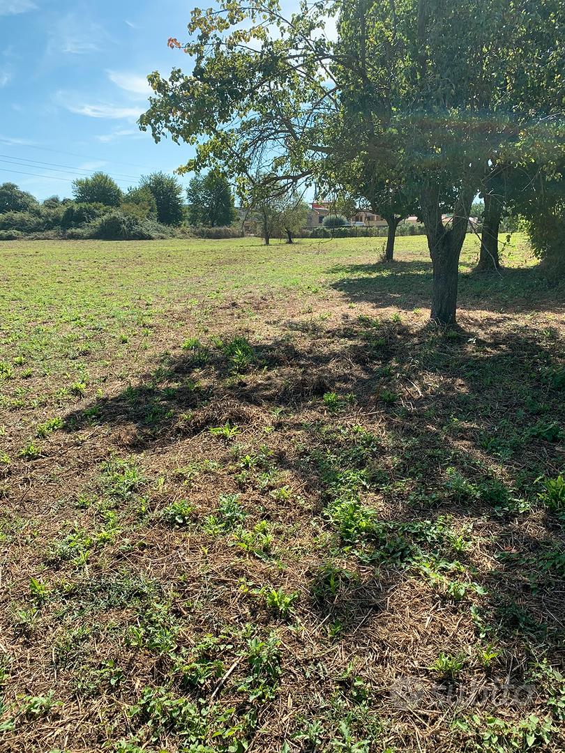 Terreno 11.000 mq vicino Roma - Vista 5