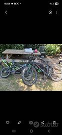 Biciclette da revisionare