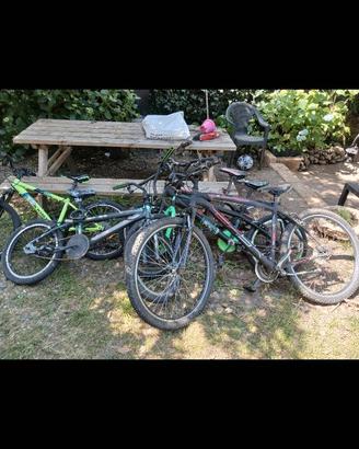 Biciclette da revisionare