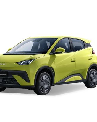 BYD BYD DOLPHIN SURF Comfort