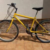 montainbike 24 anni 90