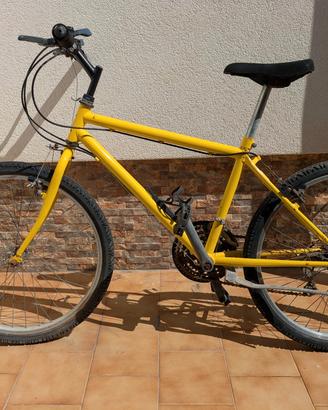 montainbike 24 anni 90