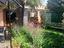 Immagine 10