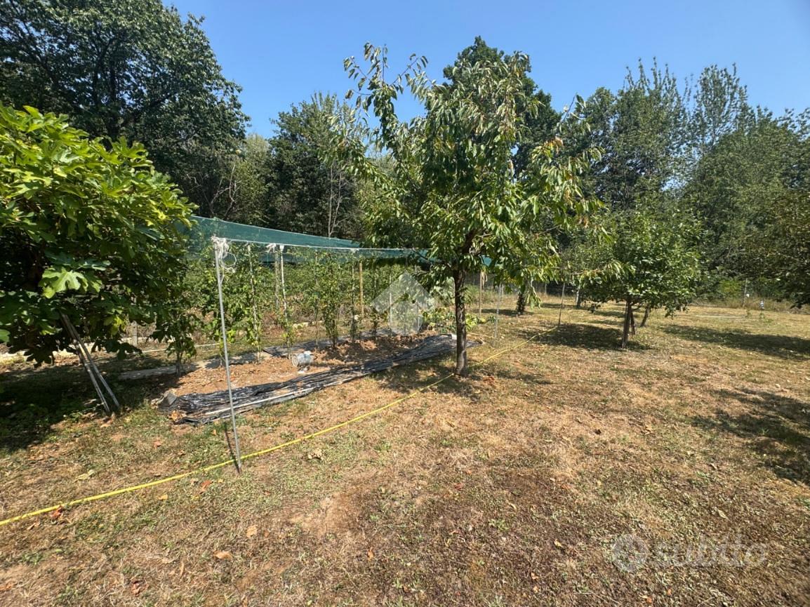 TER. AGRICOLO A LA CASSA - Altro