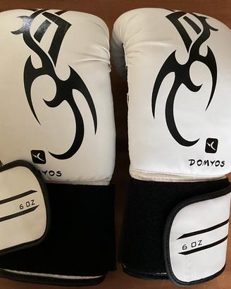 Guantoni e parastinchi kick boxing
