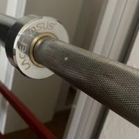 Bilanciere Lacertosus Ø30 mm, usato