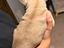 Immagine 3