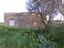 Immagine 10