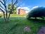 Immagine 14