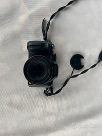 Forocamera Panasonic Lumix FZ 45