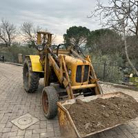 Pala gommata venieri