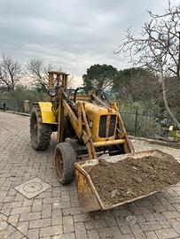 Pala gommata venieri