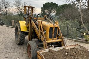 Pala gommata venieri