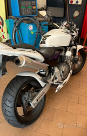 Honda hornet 600