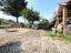 Immagine 18