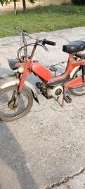 motorino morini