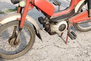 motorino morini