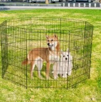 Piccolo recinto per cani e altri animali