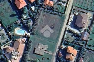 TERRENO A PALMAS ARBOREA