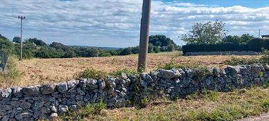 Terreno agricolo
