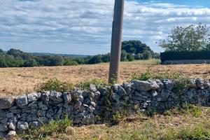 Terreno agricolo