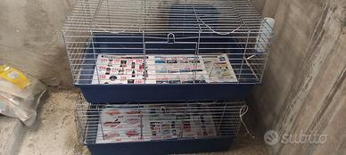 Gabbie per conigli