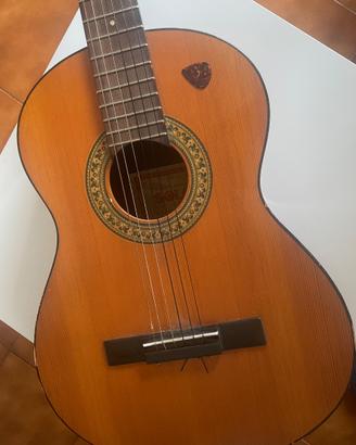 Chitarra Eco vintage