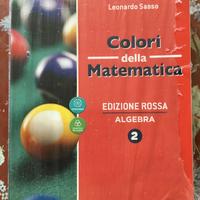 L. Sasso- Colori della matematica-vol.2-Petrini