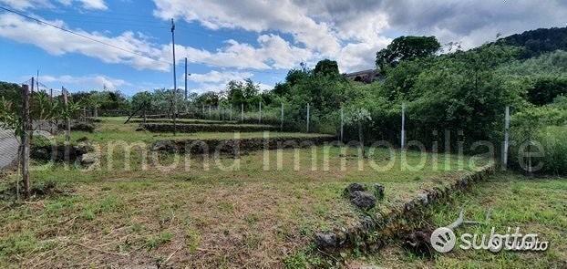 Terreno 1.000 mq a presa - Vista 2