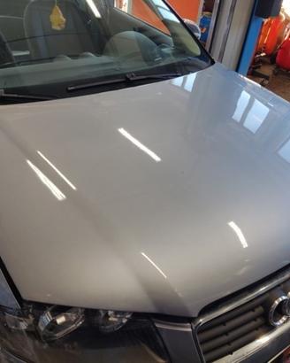 Cofano AUDI A3 del 2004