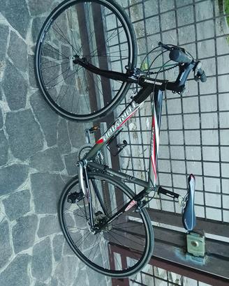 Bici torpado da corsa