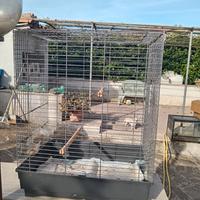 Gabbia con apertura suoeriore