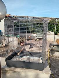 Gabbia con apertura suoeriore