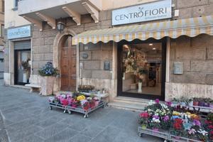 Cessione Attività Negozio di Fiori