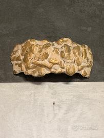 Applique TOSCOT design