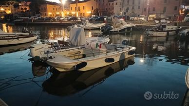 Barca a motore Boston whaler 17 mod new port