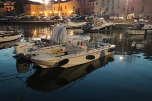 Barca a motore Boston whaler 17 mod new port