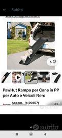 rampa auto cane