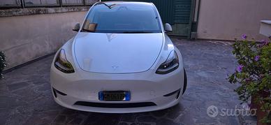 TESLA Model Y performance