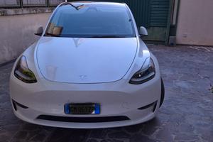 TESLA Model Y performance